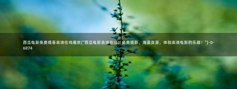 西瓜电影免费在线高清播放