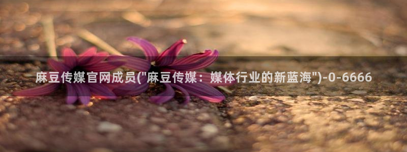 麻豆影像传媒官网地址：麻豆传媒官网成员(\