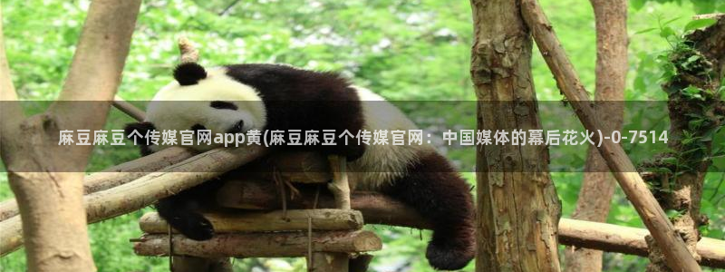 麻豆传媒直播官网01：麻豆麻豆个传媒官网app黄(麻豆麻豆个传媒官网：中国媒体的幕后花火)