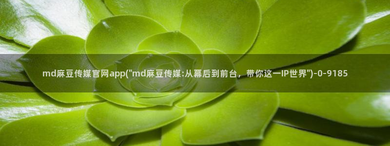 mdpud麻豆传媒官网：md麻豆传媒官网app(\