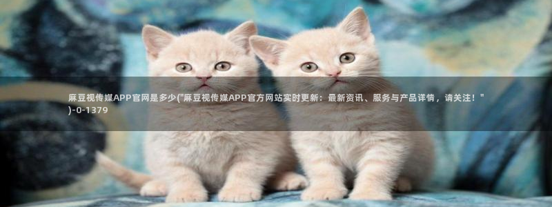 麻豆视传媒官网进入：麻豆视传媒APP官网是多少(\
