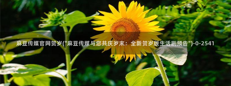 麻豆传媒官网red：麻豆传媒官网贺岁(\