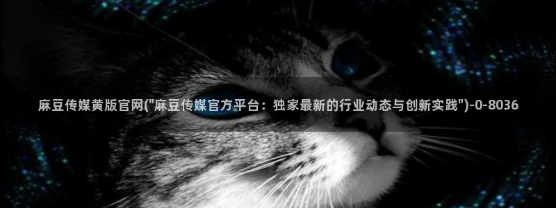 台湾麻豆传媒官网是：麻豆传媒黄版官网(\