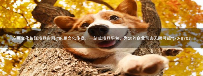 麻豆传媒官网映画：麻豆文化传媒精品官网(\
