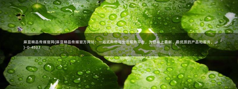 麻豆传媒映话官网：麻豆精品传媒官网(麻豆精品传媒官方网站：一站式购物与生活服务平台，为您奉上最新、最优质的产品和服务。)