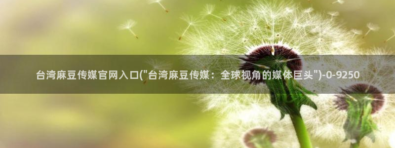 麻豆音画传媒官网：台湾麻豆传媒官网入口(\