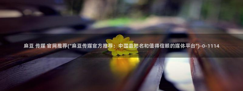 麻豆映视传媒官网：麻豆 传媒 官网推荐(\