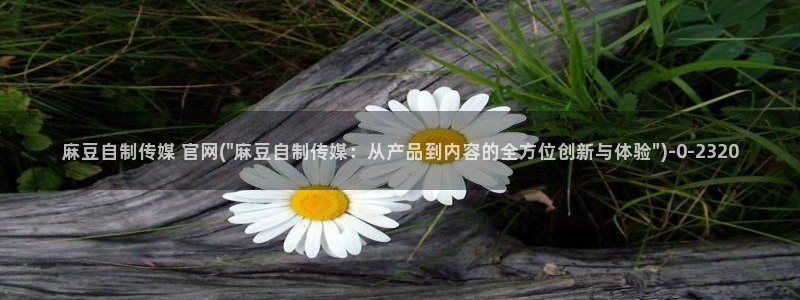 麻豆传媒官网进不去：麻豆自制传媒 官网(\
