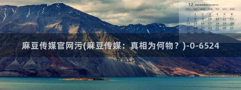 麻豆传媒app官网版