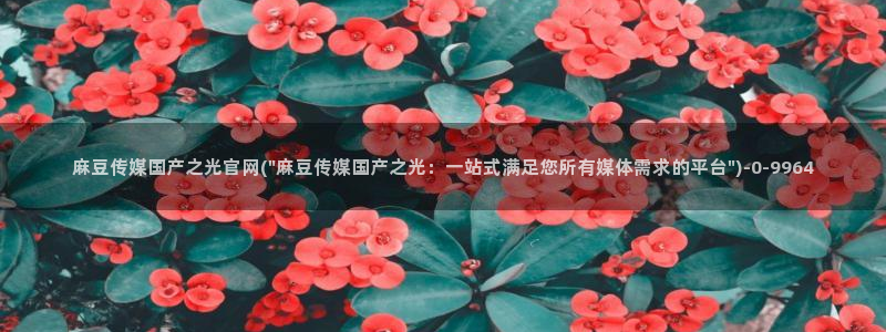 麻豆传媒传播官网：麻豆传媒国产之光官网(\