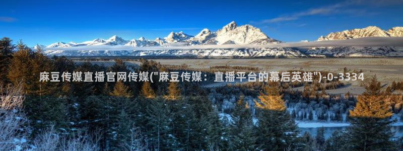 麻豆AV传媒在线官网：麻豆传媒直播官网传媒(\