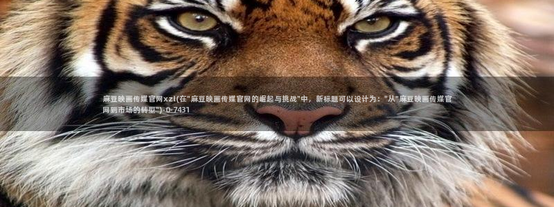 麻豆传媒官网app在线：麻豆映画传媒官网xzl(在\
