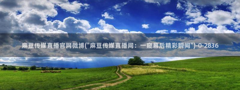 麻豆传媒官网综合：麻豆传媒直播官网微博(\