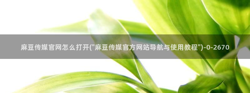 麻豆传媒官网app：麻豆传媒官网怎么打开(\