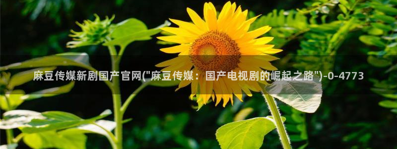 麻豆传媒官网是啥：麻豆传媒新剧国产官网(\
