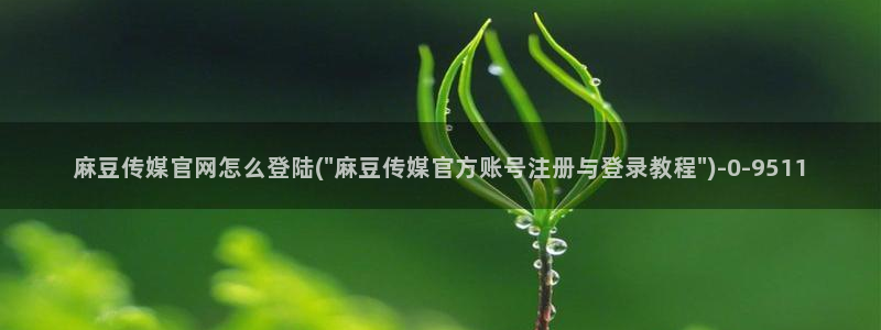 麻豆啊传媒app官网黄